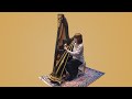Introducing Mozart's Single Action Pedal Harp