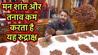 यहाँ मिलेगा 50 रुपये में असली रुद्राक्ष | Rudraksh shope haridwar | Best rudraksh shope