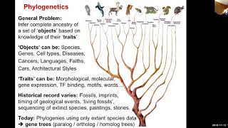 MIT CompBio Lecture 19 - Phylogenetics (Fall 2019)