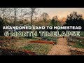 Homestead Timelapse - First 6 Months | How We Made it Happen as Newbies