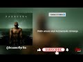 Kabza De Small & Dlala Thukzin - Ngyozama (feat. Sykes, Young Stunna, Nkosazana Daughter & Tracy)