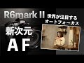 【カメラ初心者】Canon新次元のAF（オートフォーカス）機能。R6Marak II、R8に搭載されているAF機能説明。AFの設定方法など解説。