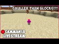 Beating Minecraft But I'm VERY Small camman18 Full Twitch VOD