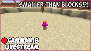 Beating Minecraft But I'm VERY Small camman18 Full Twitch VOD