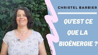 Qu'est ce que la bioénergie ?