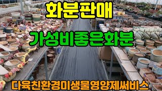 화분판매 가성비짱짱 010 4499 2456 5만이상무료배송 다육친환경영양제써비스 주문은 문자로주세요