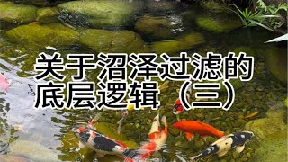 关于沼泽过滤的底层逻辑（三）