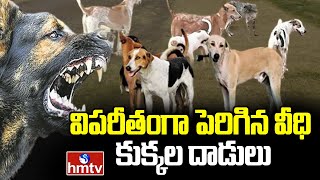 విపరీతంగా పెరిగిన వీధి కుక్కల దాడులు | Street Dog Attack Cases Increasing in India | hmtv