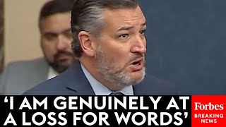 'I Am Genuinely At A Loss For Words': Ted Cruz Shocked By 'Stunning' Democratic Move In Senate