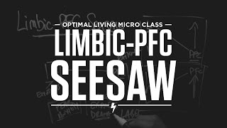 Micro Class: Limbic-PFC Seesaw