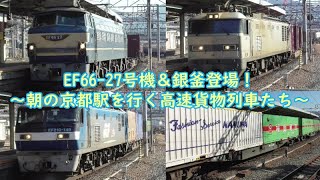 2022,2,11　朝の京都駅を駆け抜ける高速貨物列車３本！　EF66-27号機＆銀釜が登場します！