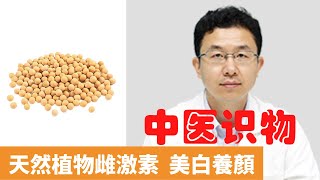 黃豆的功效與作用【保健養生】生生不息┃增強免疫力┃促進消化┃阻止膽固醇吸收┃补气健脾┃益肾壮骨┃清热解毒┃美白养颜