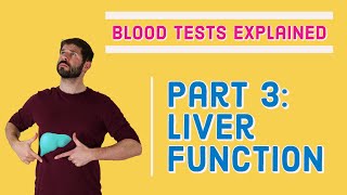 Liver Function (LFT) Blood Test - What does it mean?