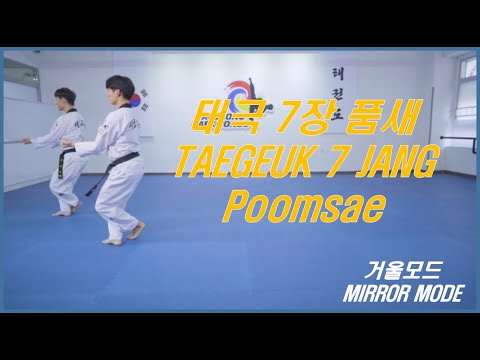 Taekwondo Poomsae Taegeuk 7 Jang 태권도 품새 태극 7장 거울모드 Youtube