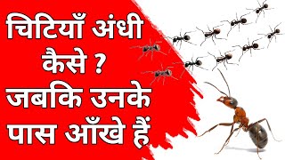 आंखें होने के बावजूद भी चीटियां अंधी क्यों? चीटियां एक लाइन में कैसे चलती हैं #sciencete #yunussir