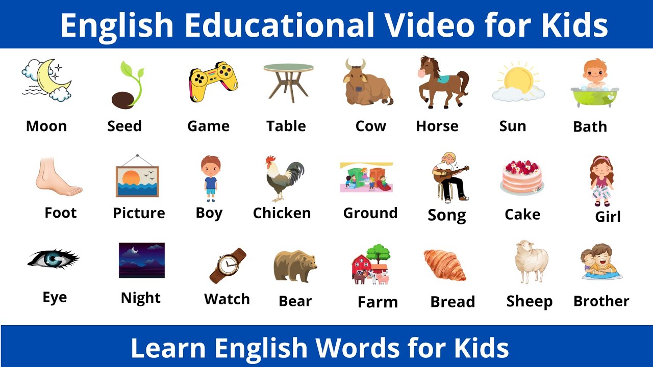 Pre School Learning For Kids - Vocabulary Words || English Words For ...