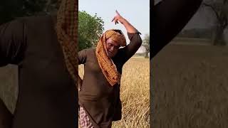 ਹੁਣ ਆ ਸ਼ਡ ਗੀਆ Bhana bhagudha #shorts #video #comedy #youtube #trending #viral