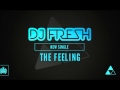 Dj Fresh ft RaVaughn The Feeling  [Lyric in desc]