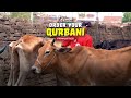 £25. That’s all it takes to fulfil your Qurbani.