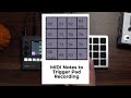 1010music blackbox pad controller = awesome for live looping