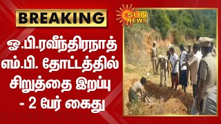 BREAKING | ஓ.பி.ரவீந்திரநாத் எம்.பி. தோட்டத்தில் சிறுத்தை இறப்பு - 2 பேர் கைது | OPR | SunNews