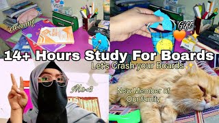 14+ Hours Study With Me For Boards Exam Vlog🔥Study Vlog As A Pak Medical Student📚