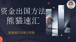 资金出国的几种方法对比  熊猫速汇资金出国适合人群