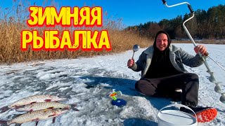 ЗИМНЯЯ РЫБАЛКА на ЖЕРЛИЦЫ / НАКОНЕЦ-ТО ХОРОШИЙ ЛЕД!