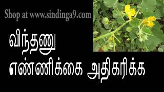 ஆண்களுக்கு இந்த பொடி ஒரு வரப்பிரசாதம்.  Increase sperm count (Indian mallow)