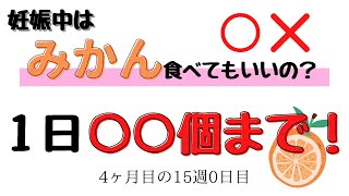 【妊娠中みかんは食べてもOK⁉】出産まで175日！『妊娠ドキュメンタリー』