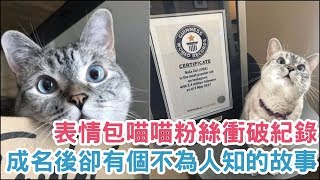 認證IG最紅貓咪，表情包公主Nala「奪金」【 動物家 】