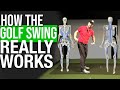 How The Golf Swing Really Works