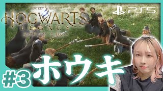 #3【ホグワーツレガシー】今日から箒に乗るぞ！！！ハリーポッターの新作ゲー！スリザリンで暴れます【HogwartsLegacy 】