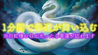 1分間見るだけで幸せが続々と舞い込んでくる幸運の白蛇様