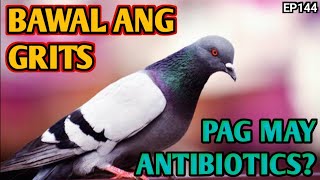 BAKIT BAWAL ANG CALCIUM KAPAG NAG GAGAMOT NG ANTIBIOTICS SA KALAPATI?