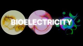 Bioelectricity - The Conductor Of Your Cell Orchestra #VeritasiumContest