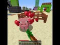 Breeding Pig With Player in Minecraft