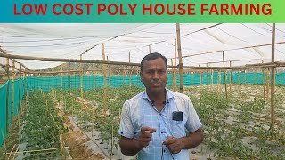 low cost poly house farming