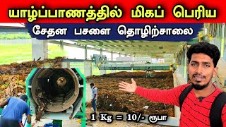 இயற்கை உரம் இங்கு 10/- ரூபாய்க்கு வாங்கலாம்😮🔥 மிகப் பெரிய தொழிற்சாலை😍Large Organic Manure Factory 🏭🌳