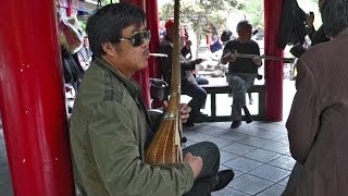 Playing the Dutar, Ürümqi, Xinjiang - Uyghur