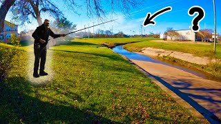 EASIEST way to catch fish ANYWHERE -- beginner to expert (local ditch?)