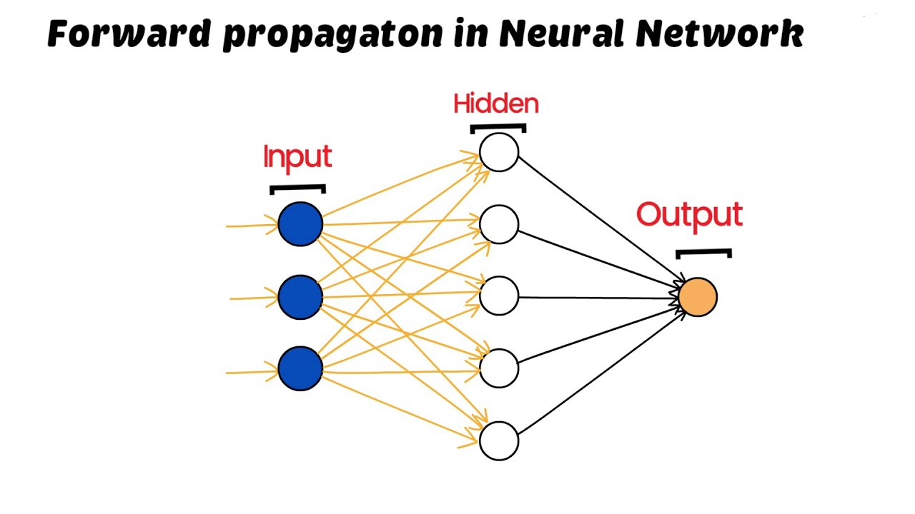 Forward Propagation In Neural Networks | Deep Learning - YouTube