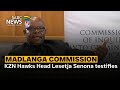Madlanga Commission | KZN Hawks Head Lesetja Senona testifies