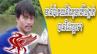 ការបង្កាត់មាន់ប៉ាកយនិងមាន់ភូមាតើបានដែររឺទេ?