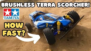 Tamiya Terra Scorcher Brushless Speed Test \u0026 Bash!