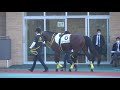 【馬っ気】マーナーパス パドック単独撮影 2021 12 11 2歳メイクデビュー 中京競馬場 5r 2歳新馬