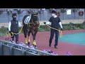 【馬っ気】マーナーパス パドック単独撮影 2021 12 11 2歳メイクデビュー 中京競馬場 5r 2歳新馬