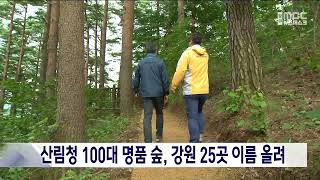 명품숲 가장 많은 강원, 100대 명품숲 중 25곳 선정 20231017