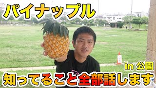 [Pineapple] How to grow, regenerated cultivation, physiology / properties / structure.