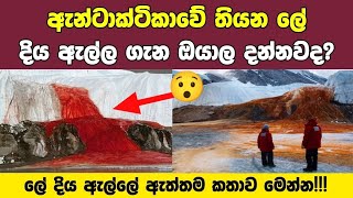 ඇන්ටාක්ටිකාවේ ලේ දිය ඇල්ල|blood falls